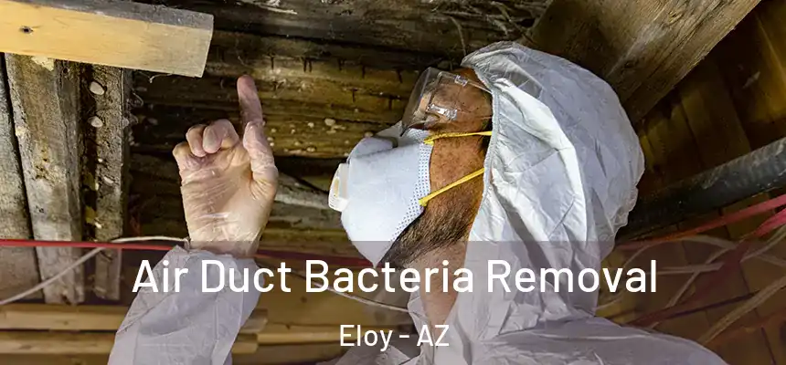  Air Duct Bacteria Removal Eloy - AZ