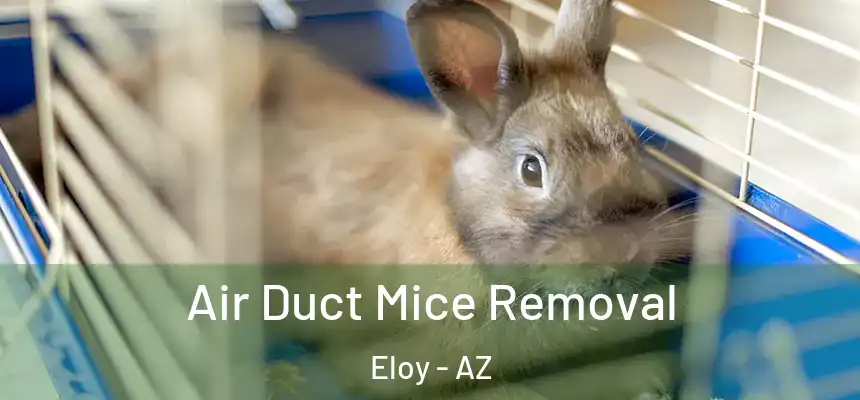  Air Duct Mice Removal Eloy - AZ