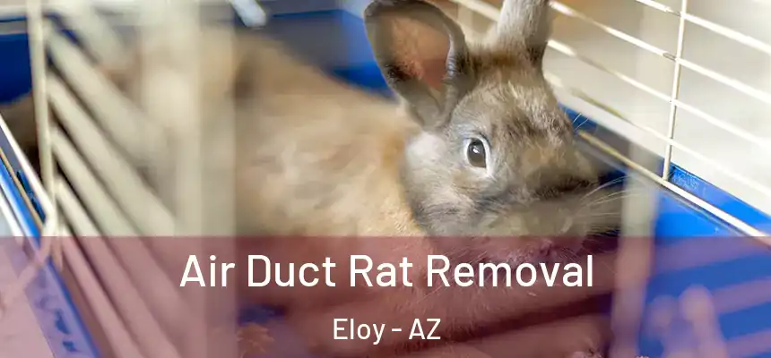  Air Duct Rat Removal Eloy - AZ