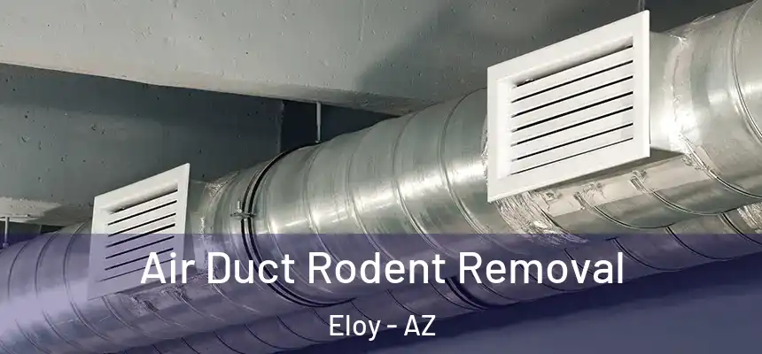  Air Duct Rodent Removal Eloy - AZ