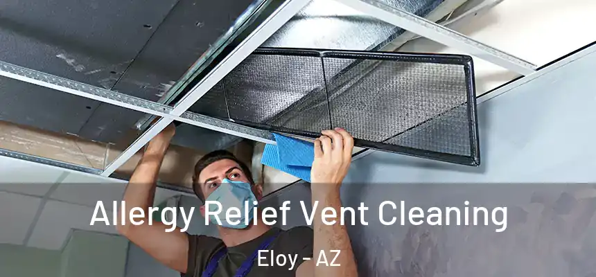  Allergy Relief Vent Cleaning Eloy - AZ