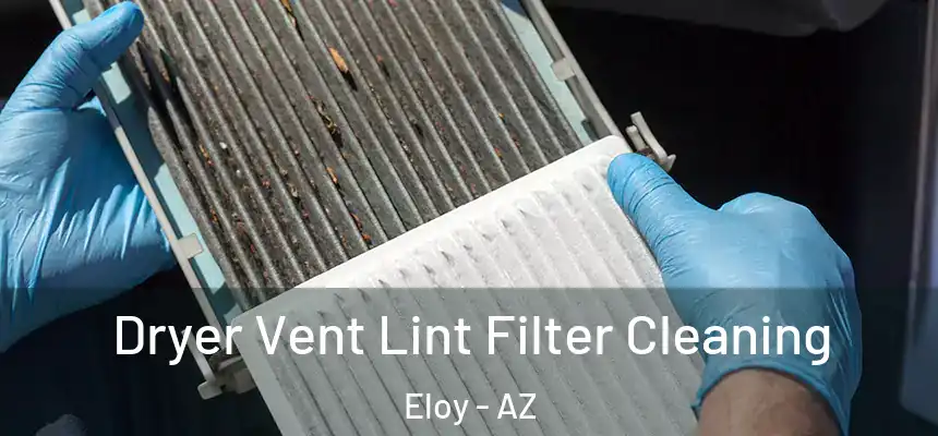  Dryer Vent Lint Filter Cleaning Eloy - AZ