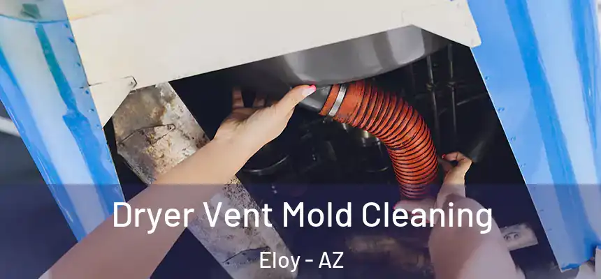  Dryer Vent Mold Cleaning Eloy - AZ