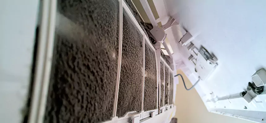 Preventive Air Duct Bacteria Removal in Eloy