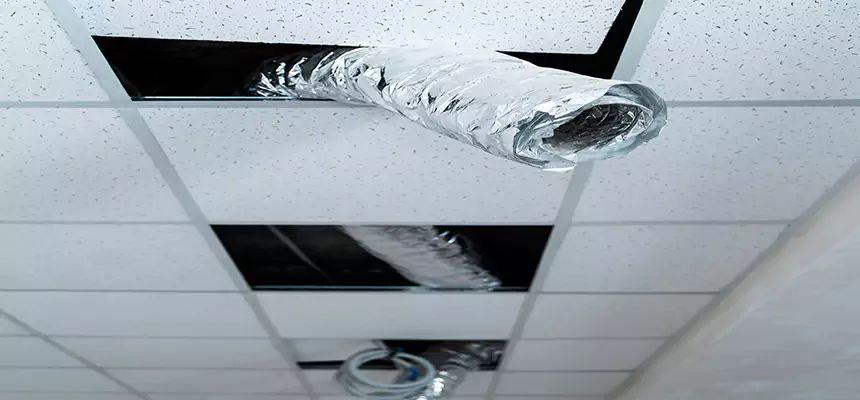 Affordable HVAC Sanitizing After Pest Removal in Eloy