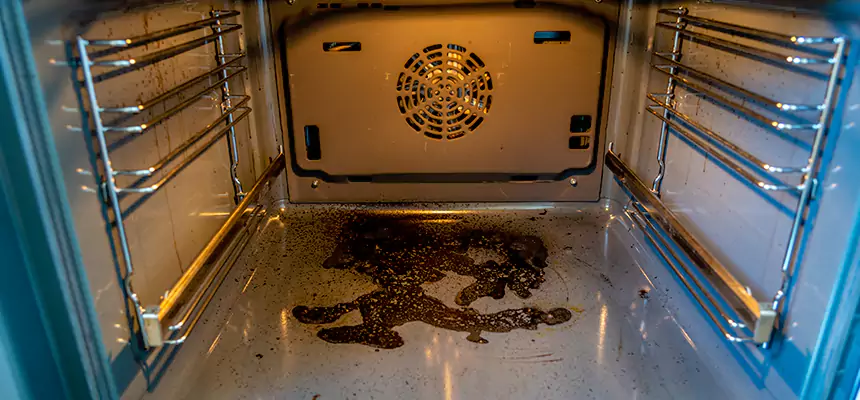 Our Dryer Vent Mold Cleaning Services in Eloy, AZ