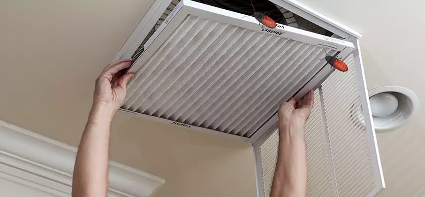 Our Insect Removal from Air Ducts Services in Eloy, AZ
