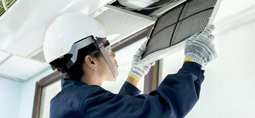 Our Mold & Mildew Removal from Air Ducts Services in Eloy, AZ