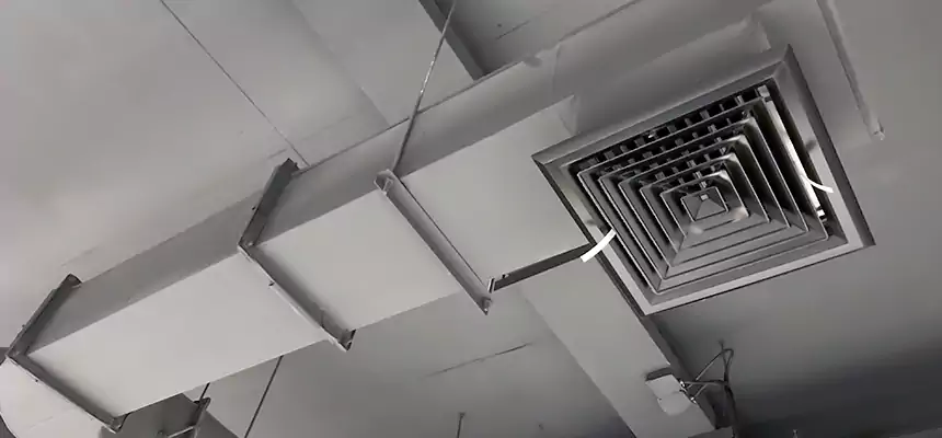 Our Pest Removal From Ducts Services in Eloy, AZ