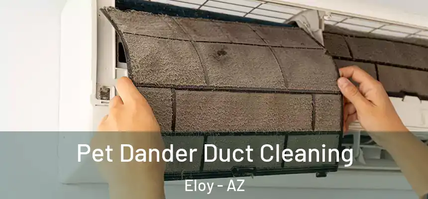 Pet Dander Duct Cleaning Eloy - AZ