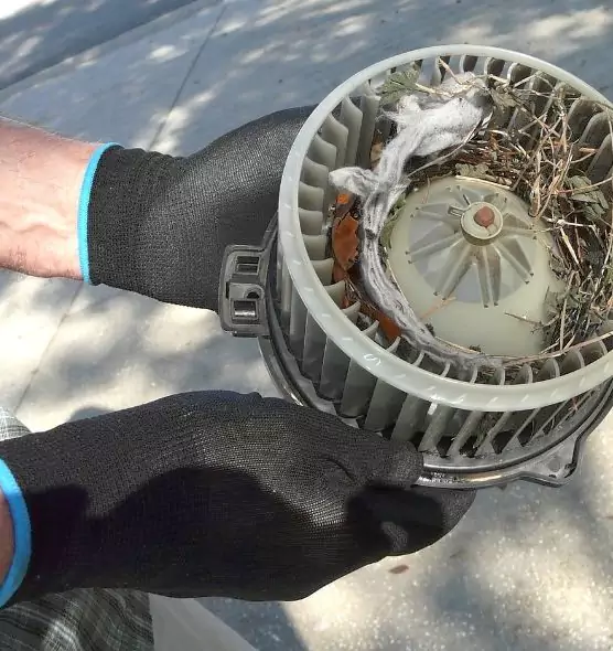 About Air Duct Rat Removal in Eloy, AZ