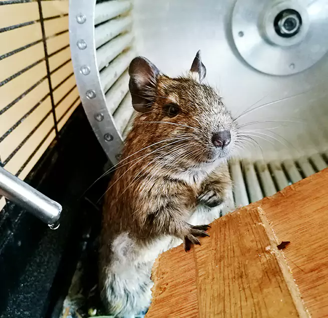 Why Homeowners & Businesses Trust Us Eloy, AZ?