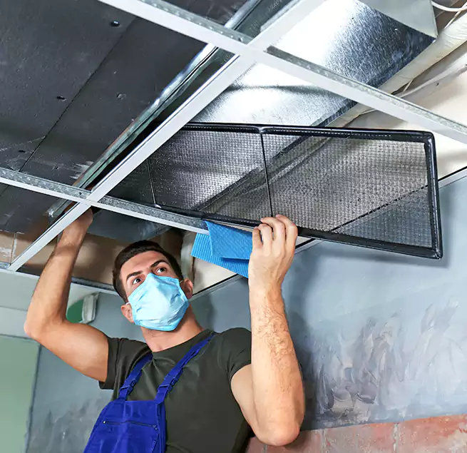 Why Homeowners Businesses Trust Us in Eloy, AZ